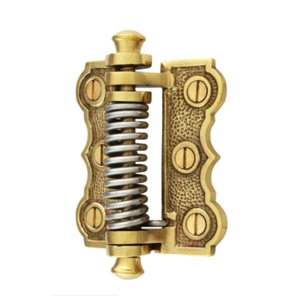 Antique Brass Spring Hinge