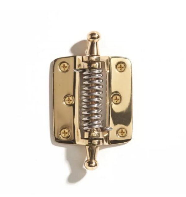 Vintage Spring Door Hinge